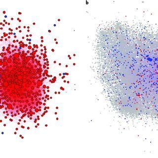 Co. Purchase Network Visualization 的图像结果