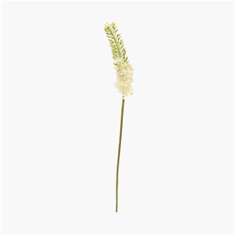 Buy Botanical Eremurus Artificial Flower from Home Centre at just INR 399.0