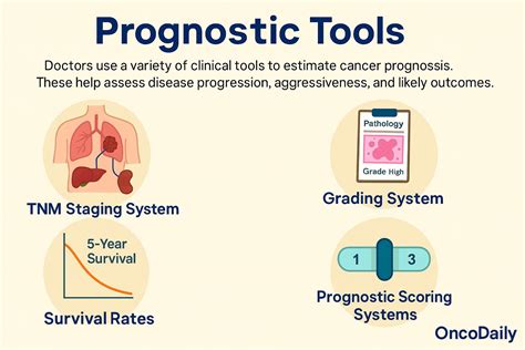 Prognosis In Heart Failure Is Easy To Predict | Detroit Chinatown