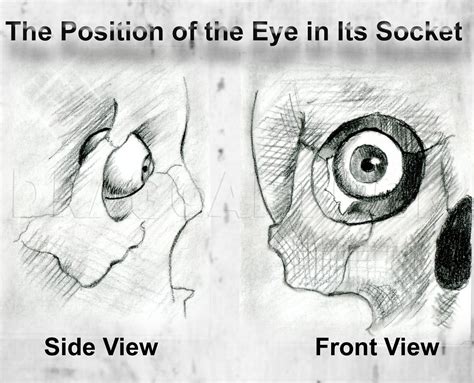 Eyeball Out Of Socket Drawing