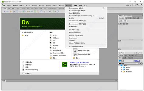 Dw CS6绿色版下载_Dw CS6绿色精简版下载12.0.0.5808 - 系统之家