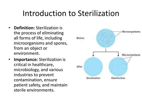 Evaluation of the Efficiency of Sterilization Methods | PPTX