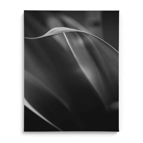 Exquisite Vibrancy Wall Art Frames | Buy Custom Art Frames at The Framewala