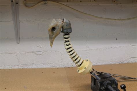 Animatronics Tutorial 的图像结果