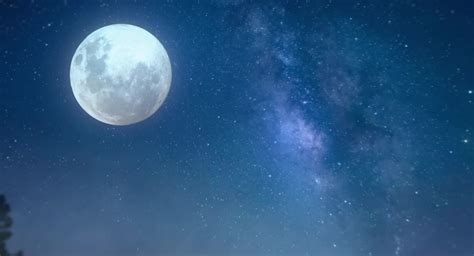 Johnny Puff: Secret Mission (2024) Screencap | Fancaps