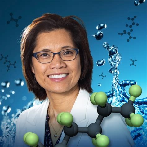 College of Arts and Sciences to highlight Diana Aga’s pollution ...