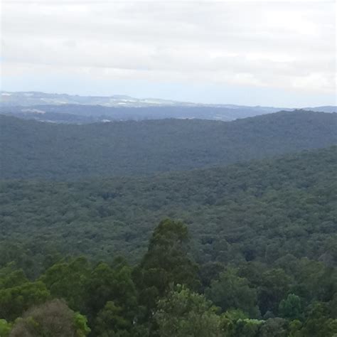 KALORAMA PARK LOOKOUT - All You Need to Know BEFORE You Go (with Photos ...