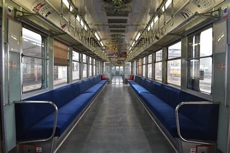 Image result for Parallel Visual Pathways