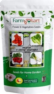 farmgokart Pack Of 4 Exotic Vegetable Seed|CHERRY TOMATO, LETTUCE ...