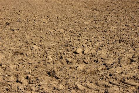 Ground Loop Currents 的图像结果