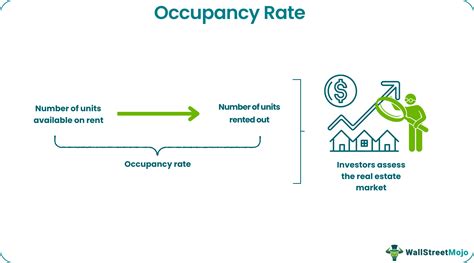 Occupancy 的图像结果