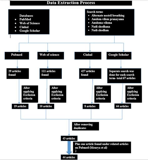 Flow Process of Manual Data Extraction 的图像结果