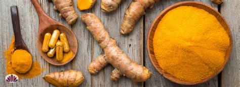 Image result for Curcuma Protocol Cancer