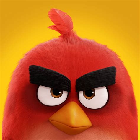 Red Angry Bird Wallpaper