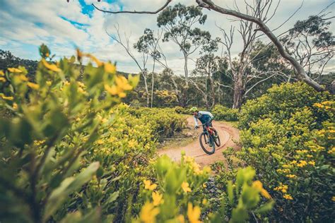 Best Mountain Bike Trails in Victoria | Flow Mountain Bike
