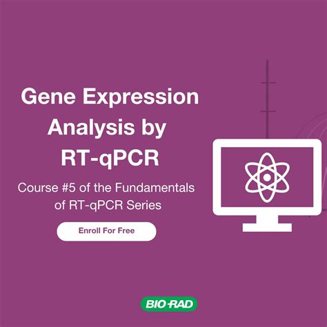 Image result for Bio-Rad qPCR Instrument Tutorial