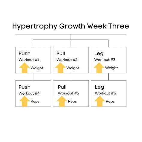 Muscle Building Workout 的图像结果