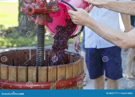 Grape Press For Wine at Lawrence Pritchard blog