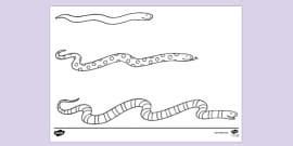 Printable Colouring Page Of Snakes | Colouring Sheets