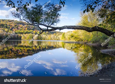 216 Mahwah Images, Stock Photos & Vectors | Shutterstock