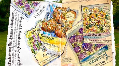 Image result for Seed Draw Script