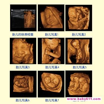 孕29周胎儿发育_亲子百科_太平洋亲子网