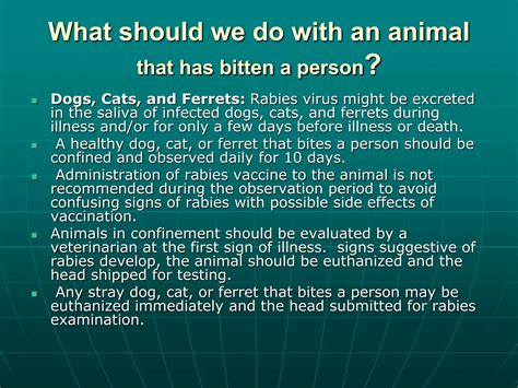 Information for veterinarians Rabies.ppt