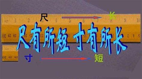 “尺有所短，寸有所长”的意思出处及全文赏析_学习力