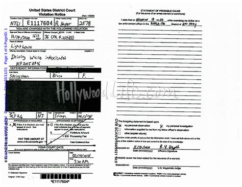 Image result for Springsteen DWI