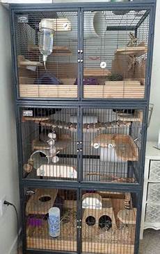 chinchilla cages ferret cage ideas chinchilla chinchilla cages ferret cage ideas chinchilla