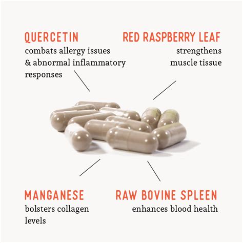 Buy Dr. Barry's Natural Acid Reflux Relief, Hiatal Digestive Health ...