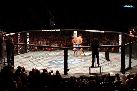 UFC Boxing 的图像结果