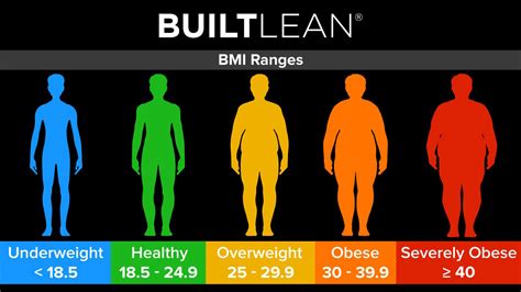 BMI Chart for Men & Women: Is BMI Misleading? - BuiltLean