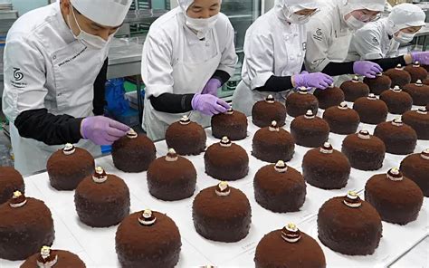 韩国工厂流水线制作美味的坚果巧克力蛋糕_哔哩哔哩_bilibili