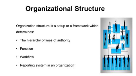 L Types Organization Structure 的图像结果
