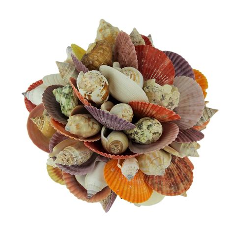 Mixed Seashells Decor Ball Figurine 7.5 inch