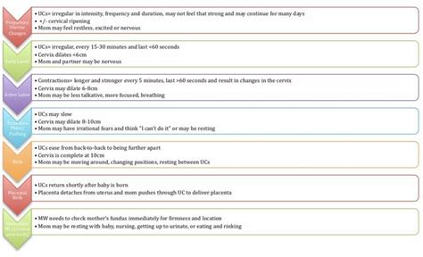 Image result for Partogram Examples
