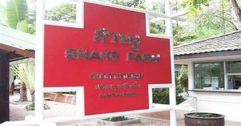 Snake Farm In Bangkok Is A Fascinating Destination To Visit In 2026