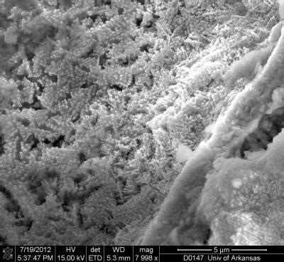 Alien Material 的图像结果