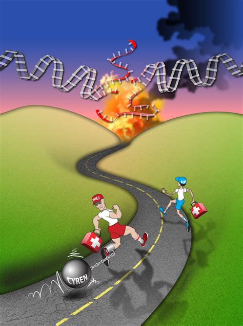 Repairing DNA 的图像结果