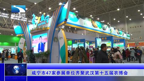 2020年1-12月咸宁市主要宏观经济指标 增速趋势图 - 咸宁市人民政府门户网站