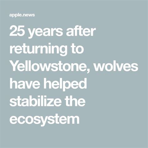 Image result for Wolves of Yellowstone Changing Ecosystem
