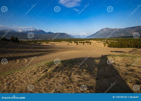The Smallest Desert of the World at Carcross Stock Photo - Image of sand, world: 170730132