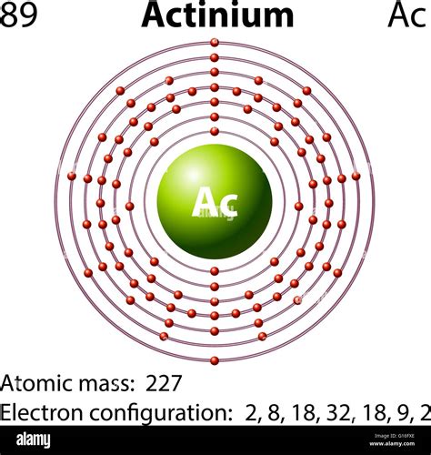 Diagram representation of the element actinium illustration Stock Vector Image & Art - Alamy