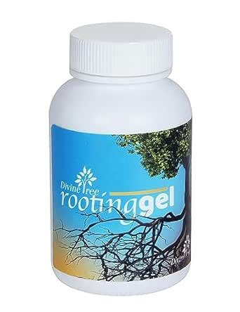 DIVINE TREE Rooting Gel and Root Hormone Stimulator for Stronger Roots ...