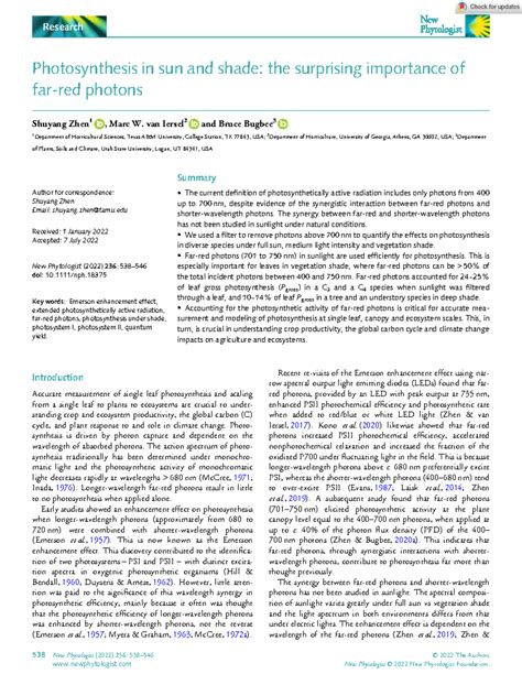 New-Phytologist-2022-Zhen-Photosynthesis-in-sun-and-shade-the-surprising-importance-of-farred ...