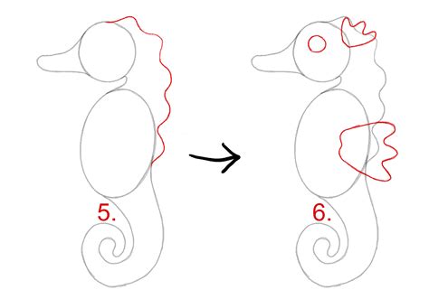 How To Draw A Seahorse