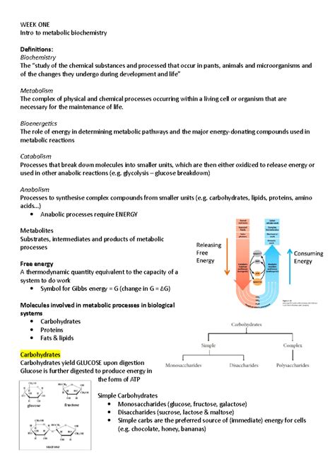 Biochemistry 的图像结果