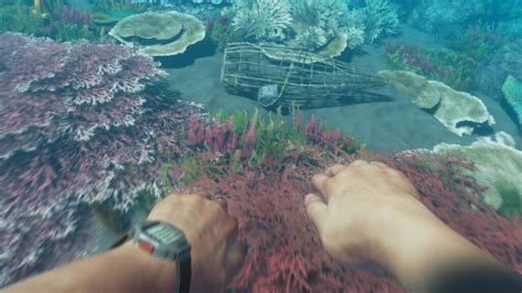 Image result for Stranded Deep Xbox Tip