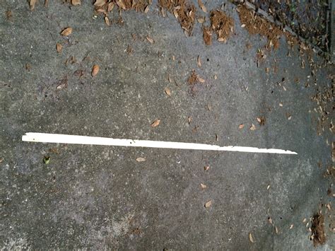 Image result for Warping Board Tutorial